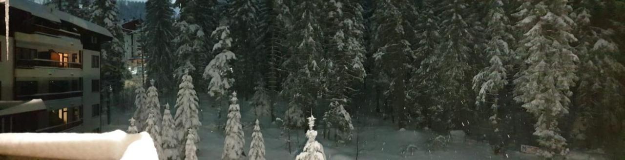 Charming Winter Studio Borovets Exterior foto